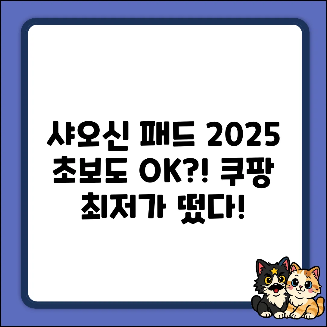 샤오신 패드 프로 12.7" 2025: 초보도 OK?