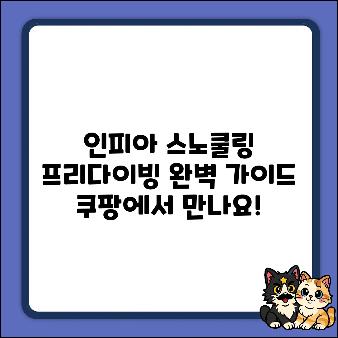 인피아 멀티피스 스노쿨링: 아쿠아 프리다이빙 완벽 가이드