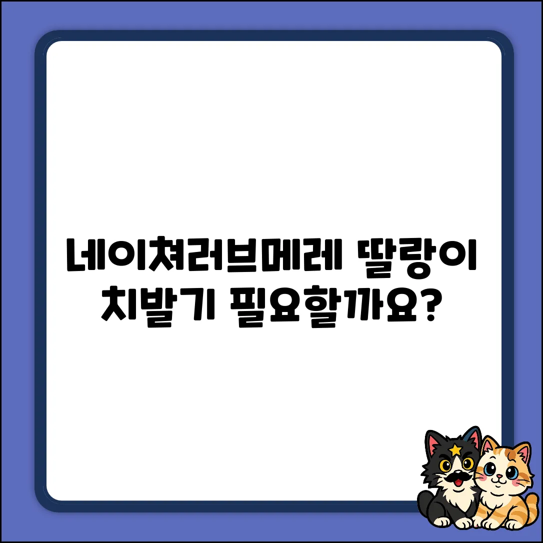 네이쳐러브메레 츄어블 딸랑이, 8종 혼합색상 치발기가 필요할까요?