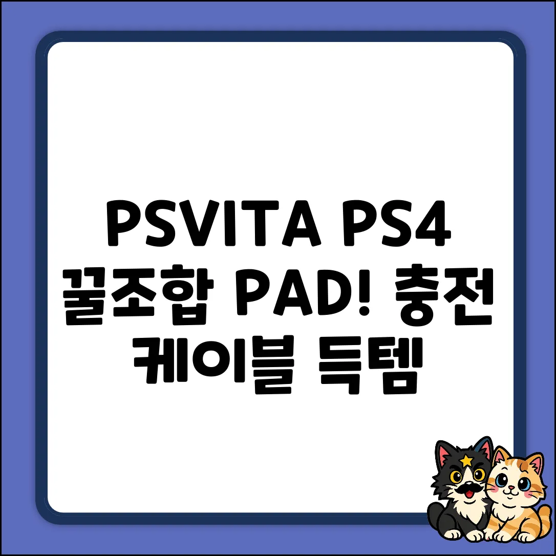 겜맥 PSVITA/PS4 PAD 꿀조합! 바로 충전 케이블 득템!