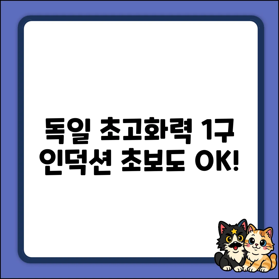 독일 초고화력 1구 인덕션: 초보도 OK!