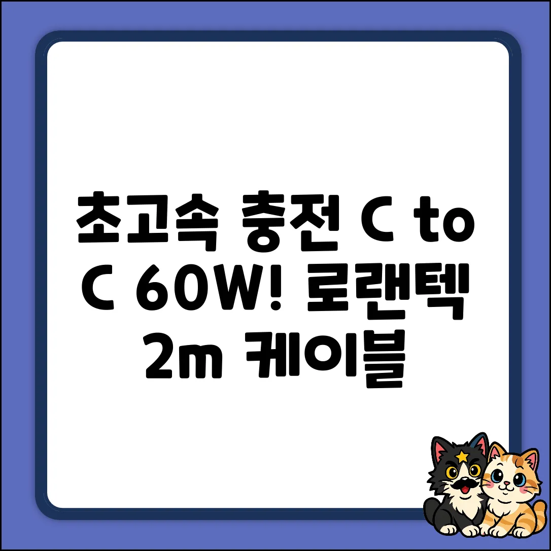 초고속! 로랜텍 C to C PD 60W (실버블랙) 2m 충전!