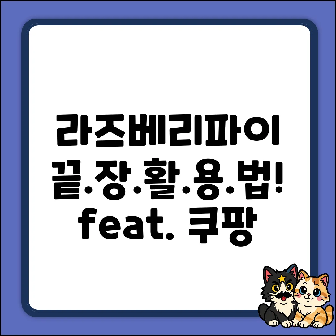 라즈베리파이, 어디까지 활용해 봤니?