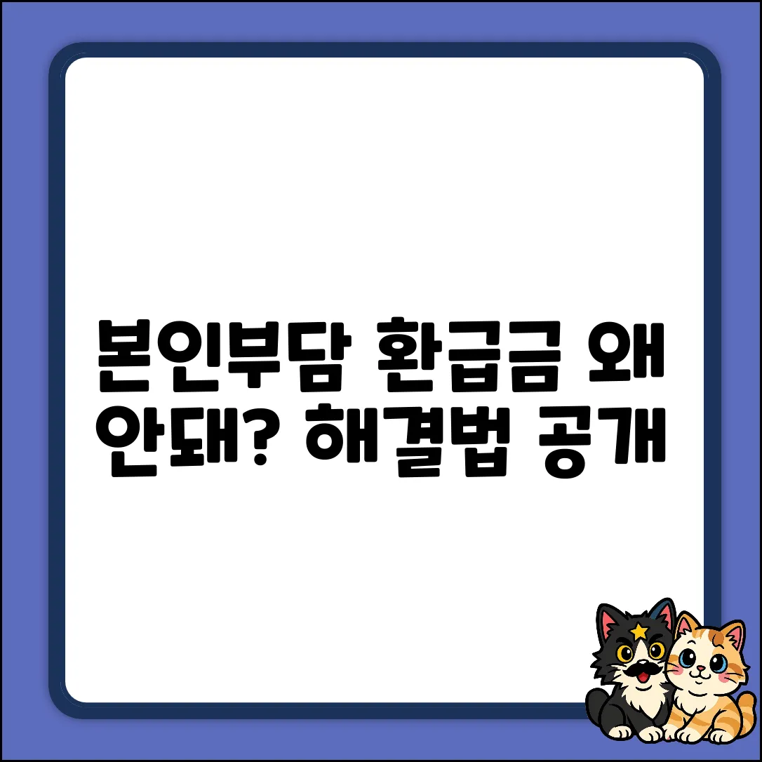 본인부담상한제 환급금 조회 안돼? 해결법!