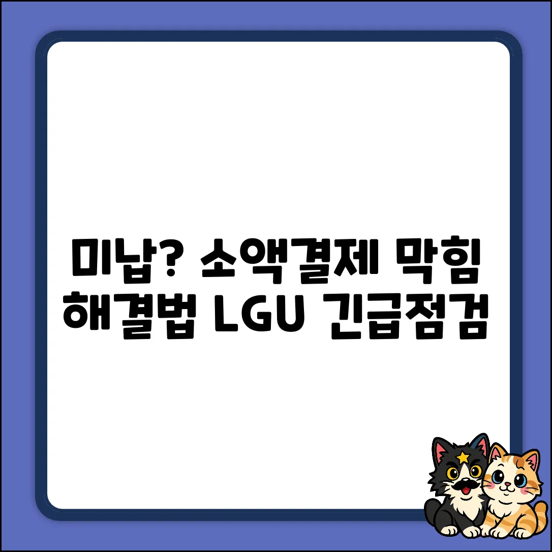 LGU+ 한달 미납, 소액결제 안될까? [쉽게 해결!