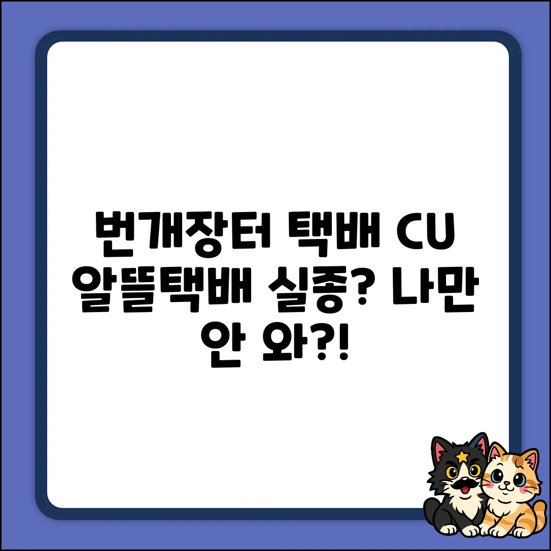 번개장터 CU알뜰택배 미수령, 혹시 나만?