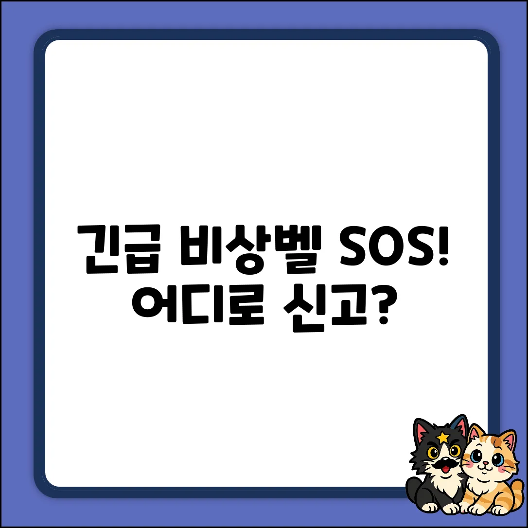 🚨 비상벨! 어디로 신고될까? 진실 공개