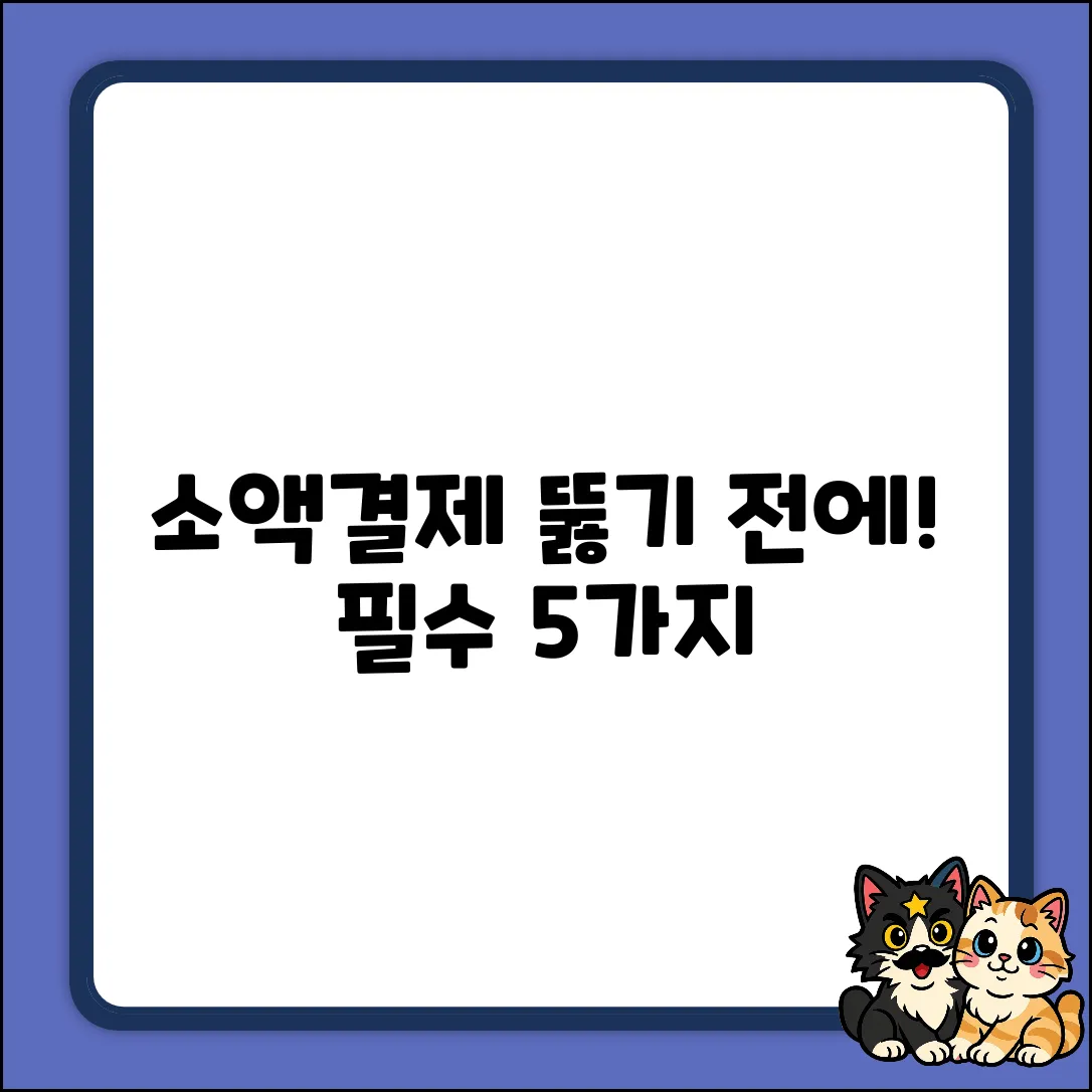 소액결제 첫 뚫기: 주의사항 5가지🔑