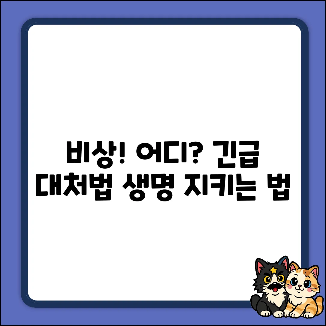 비상통화장치는 어디에? 긴급상황 대처법!