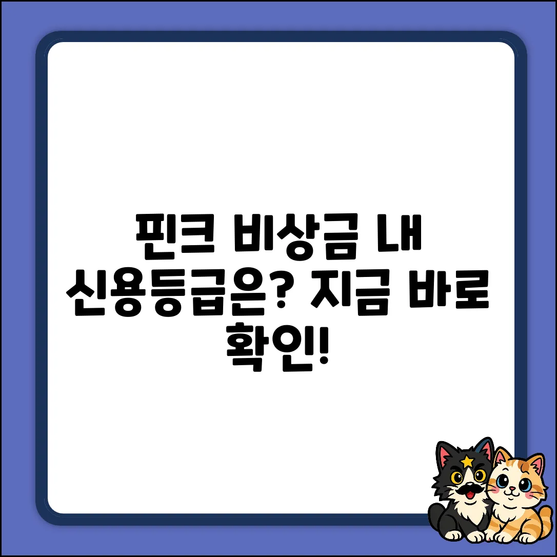 핀크 비상금 대출, 내 신용등급도 될까?