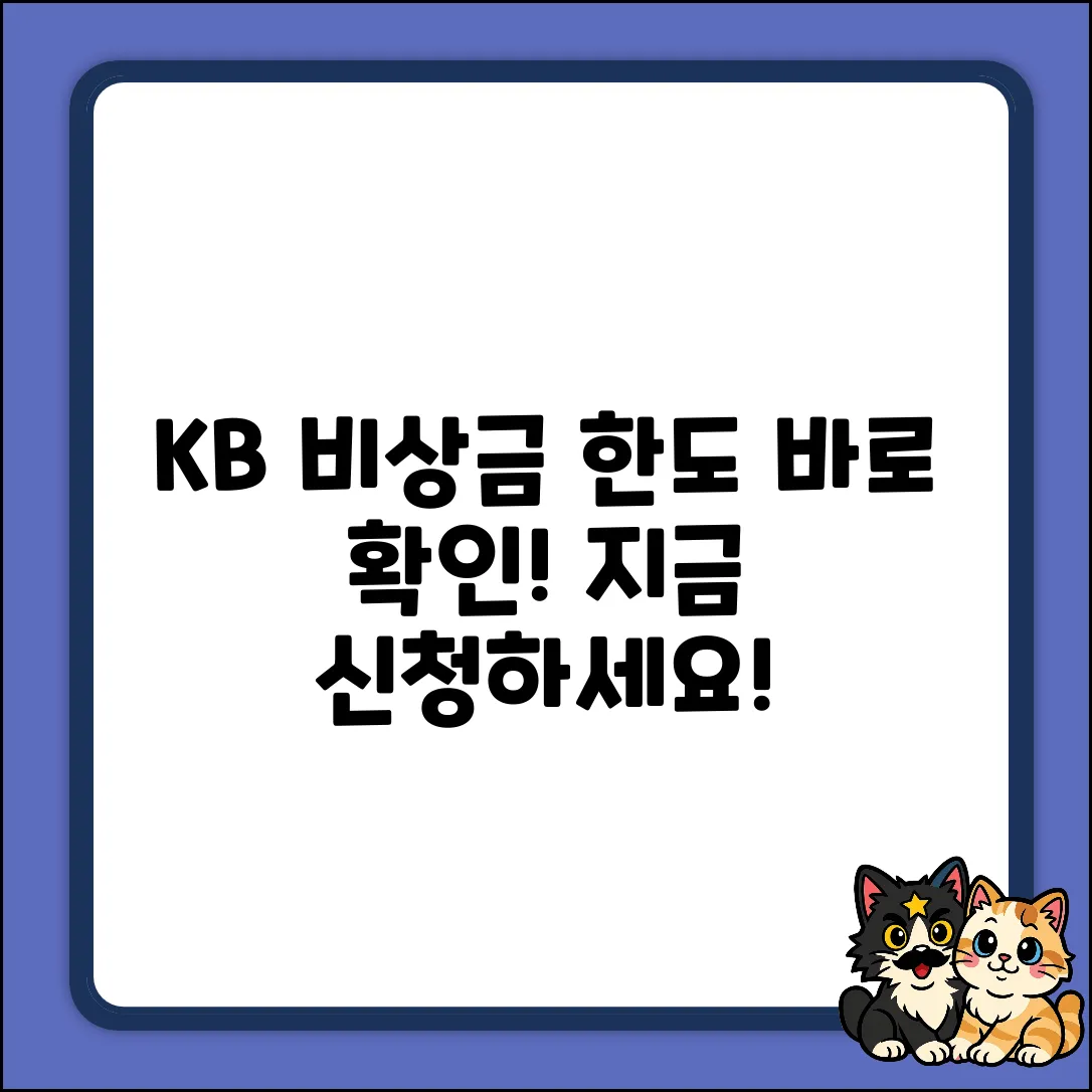 KB비상금대출, 신청 한도 쉽게 확인!