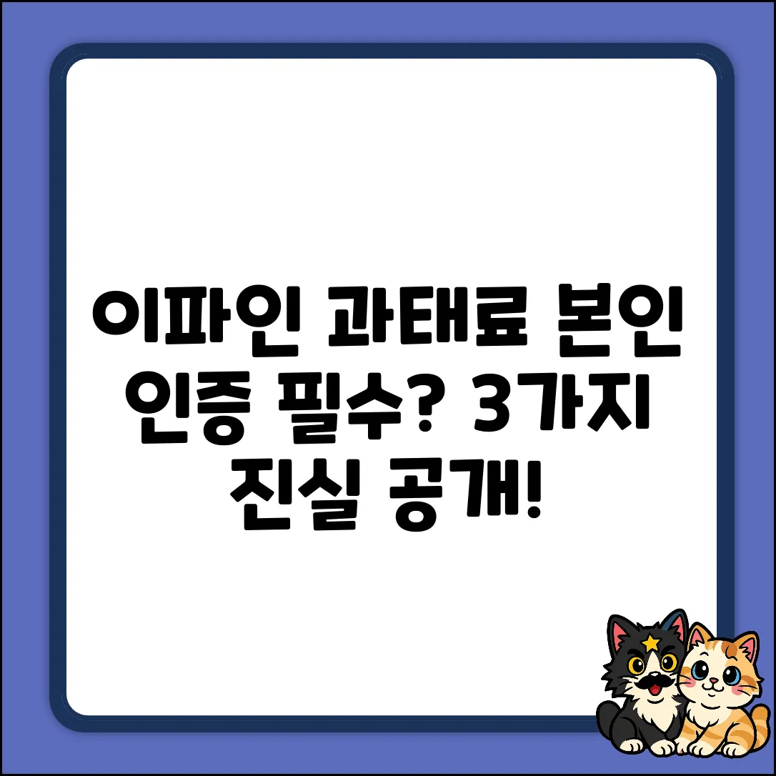 이파인 단속 내역 조회, 본인 인증 필수? 3가지 진실