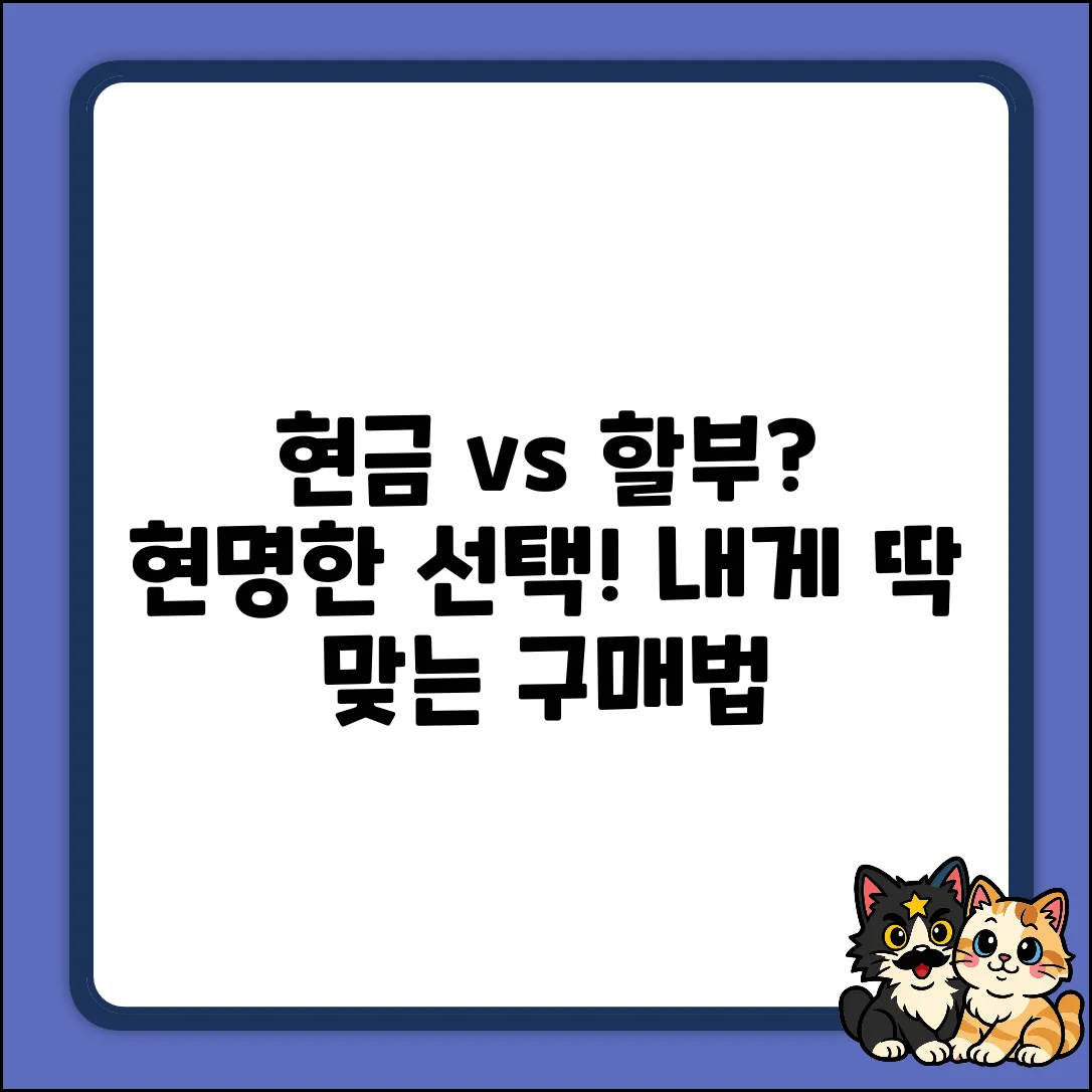 현금 vs 할부 구매 완벽 가이드