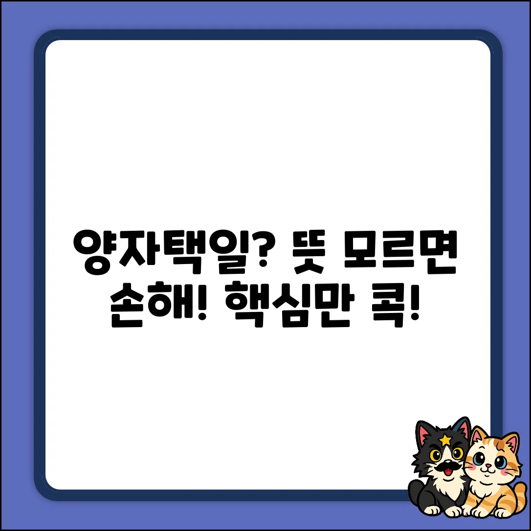양자택일 뜻, 혹시 알고 계신가요?