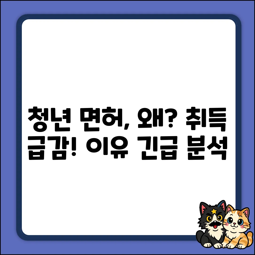 청년 면허 취득 감소, 왜일까요?