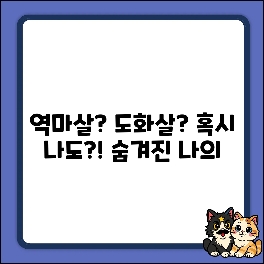 역마살, 도화살? 나에게도 있는 걸까?