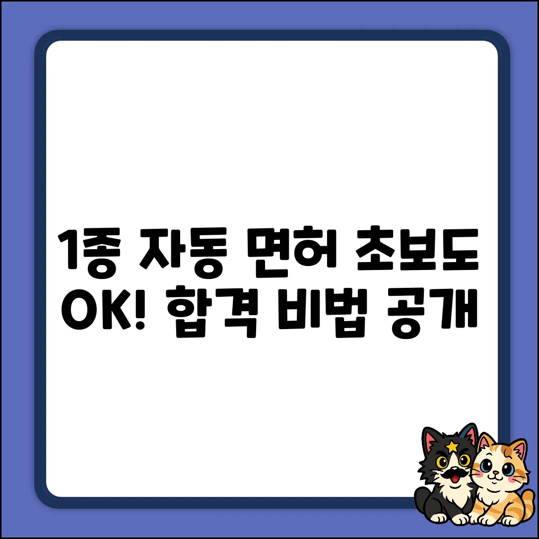 1종 자동 면허, 누구나 쉽게 따는 방법!