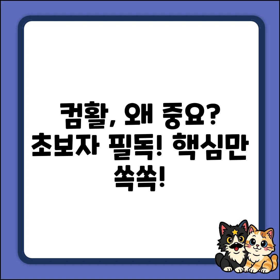 컴퓨터 활용 능력, 왜 중요할까요? (초보자 필독
