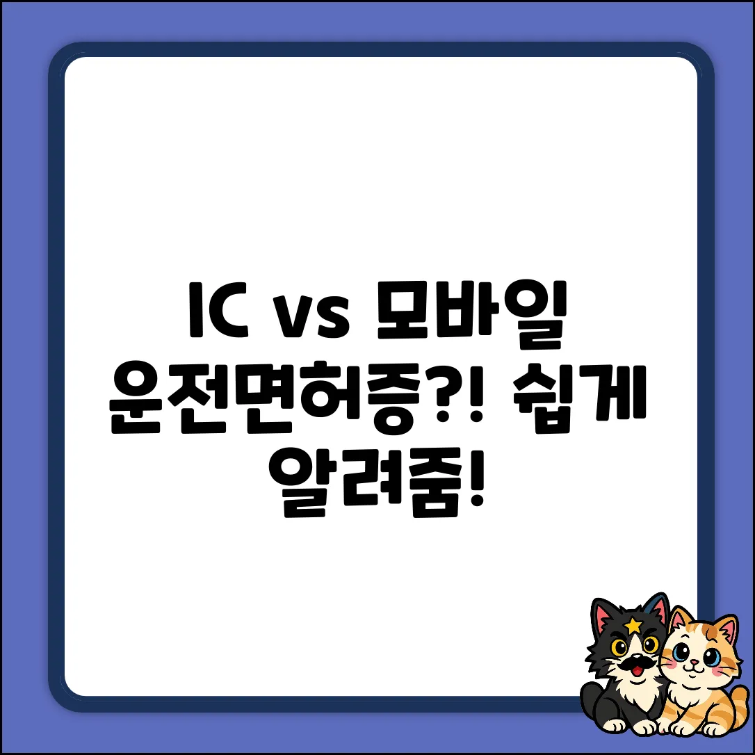 IC vs 모바일 운전면허증? 누구나 쉽게!