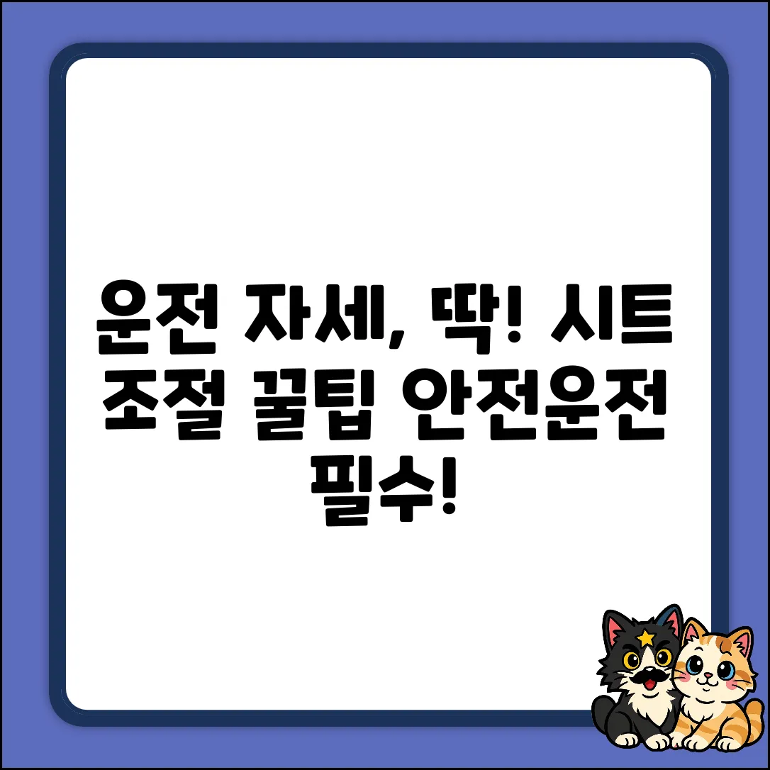 운전할 때 시트 조절, 완벽 자세 비법!