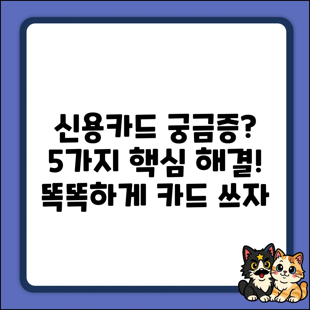 신용카드 조회? 5가지 궁금증 해결!