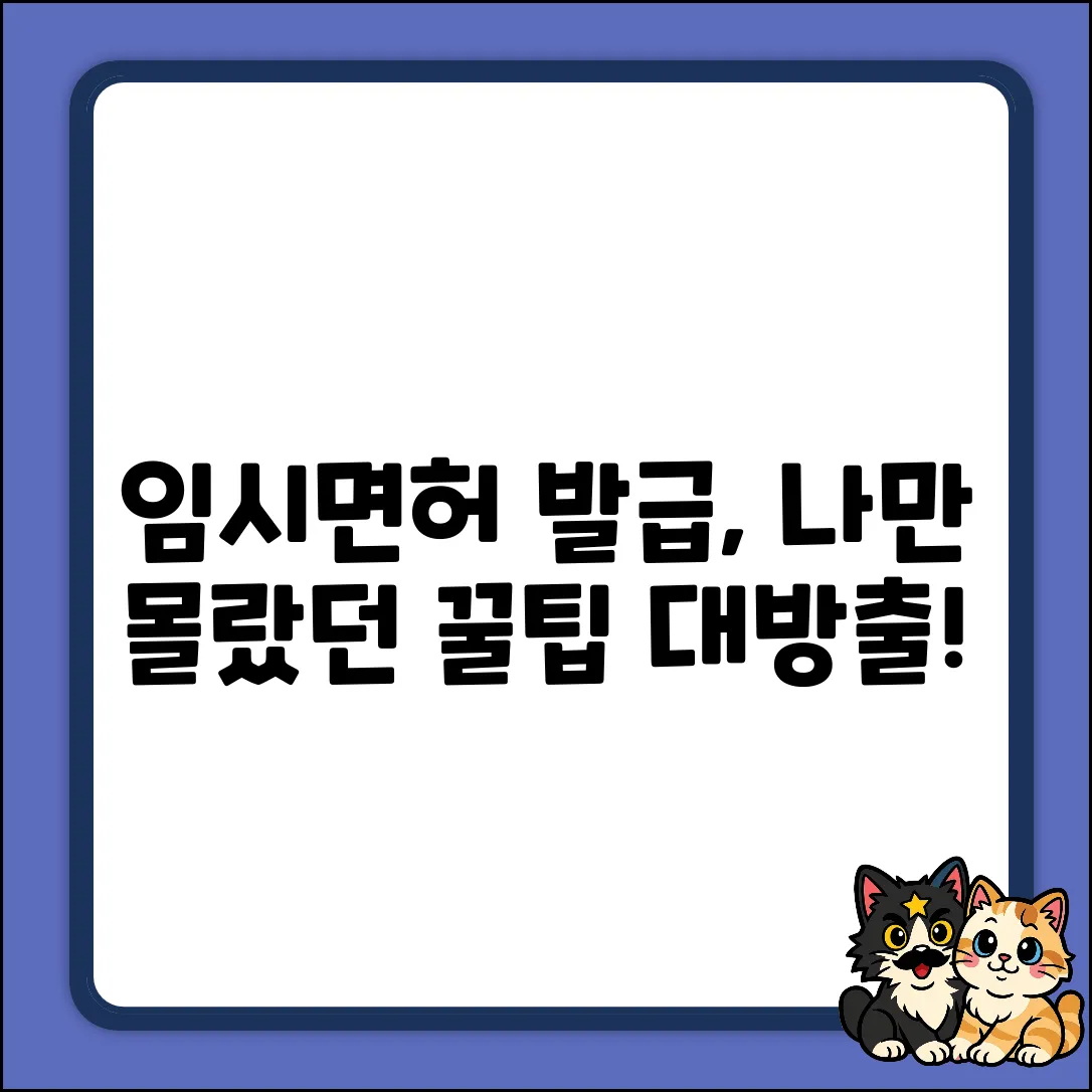 임시면허 발급 조건, 혹시 나만 몰랐어?