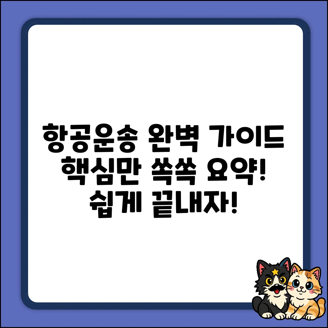 항공운송사업 종류 완벽 가이드: 핵심 요약