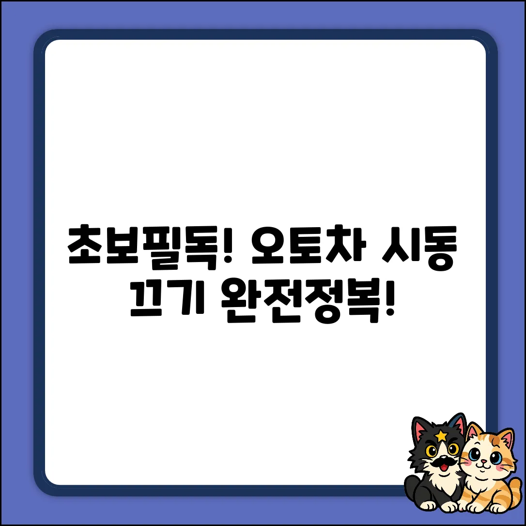 초보도 OK! 오토차량 시동 끄는 법