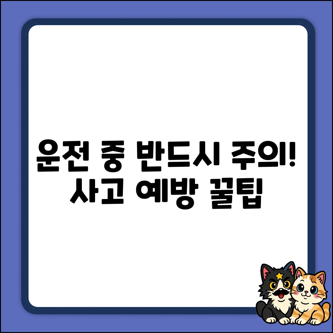 운전할 때, 꼭 주의해야 할 점은?