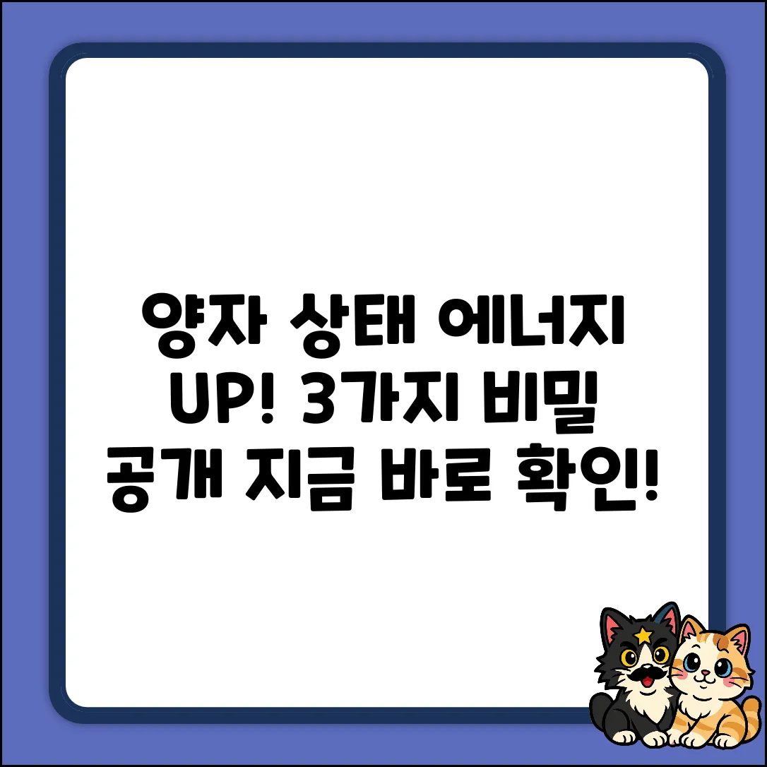 고에너지 양자 상태, 3가지 비밀!