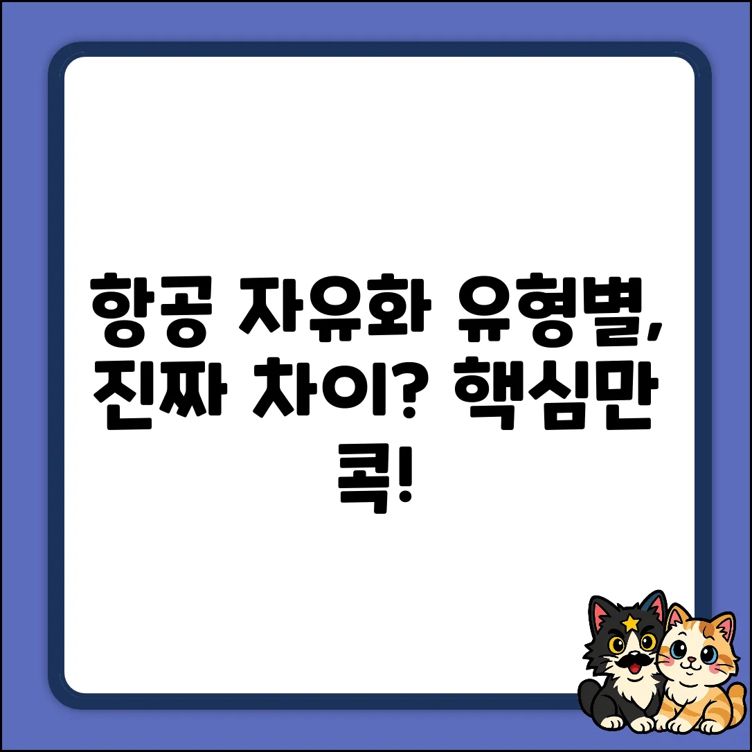 항공자유화, 그 유형별 놀라운 차이점!