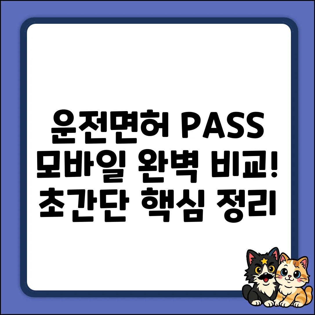 운전면허 모바일 PASS 완벽 비교 가이드
