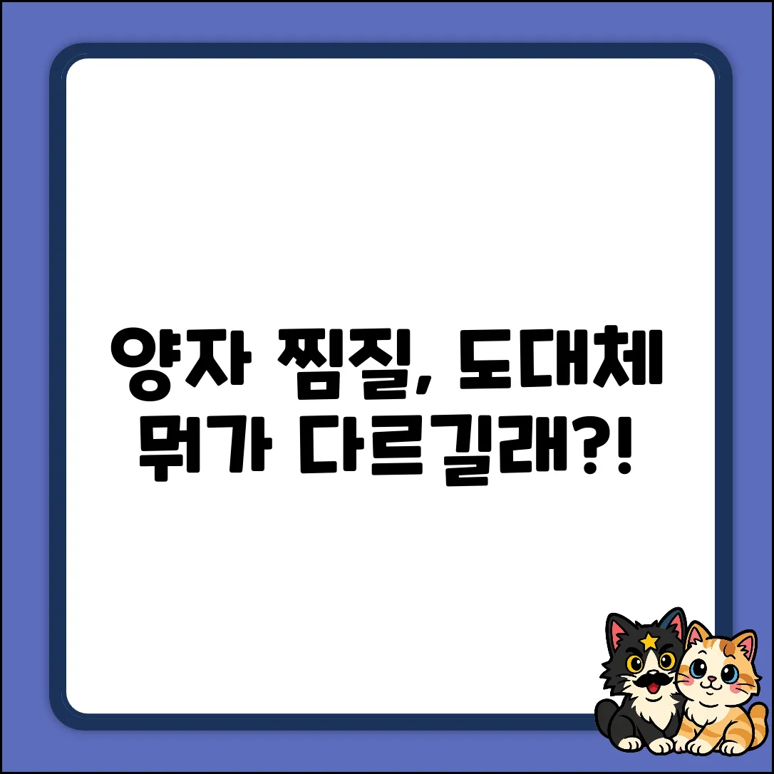 양자온찜질, 뭐가 특별할까요?