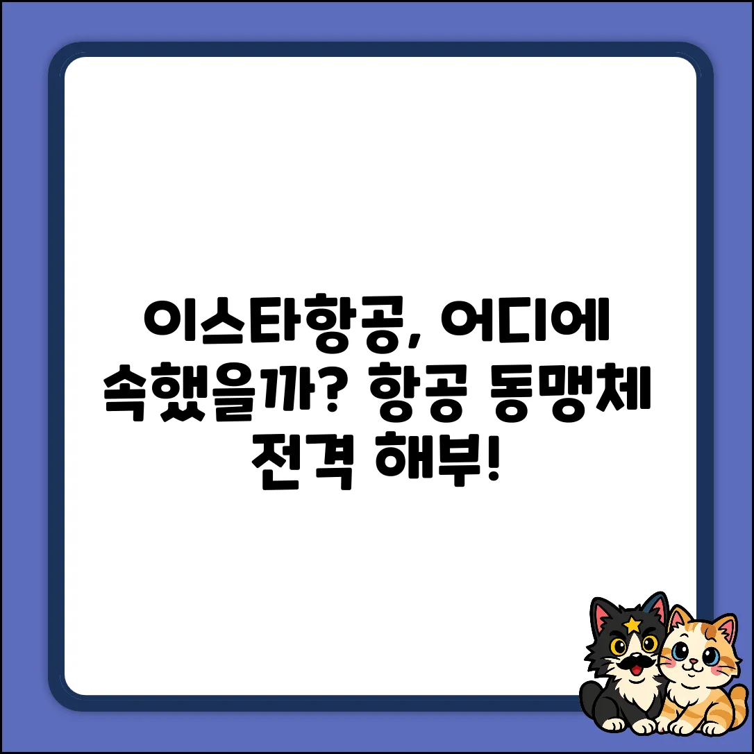 이스타항공, 어떤 항공 동맹체에 속해 있을까?
