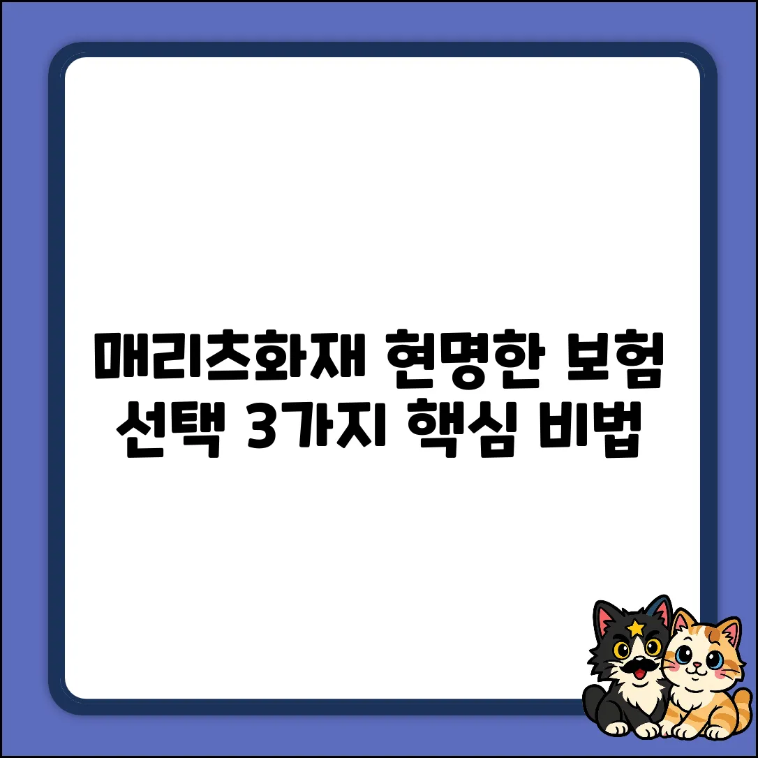 매리츠화재보험, 3가지 현명한 선택법