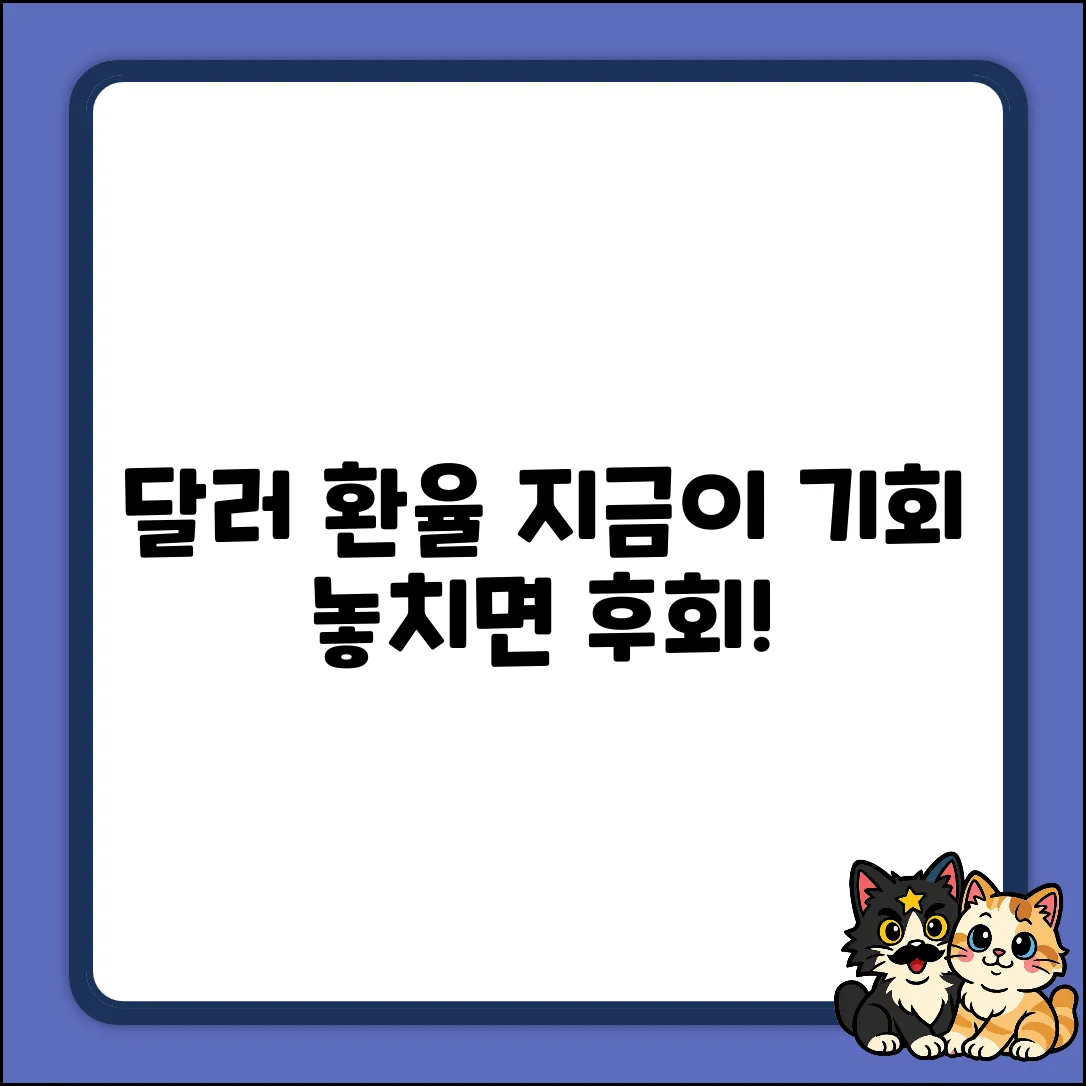 달러 환율, 지금 투자해야 할까요?