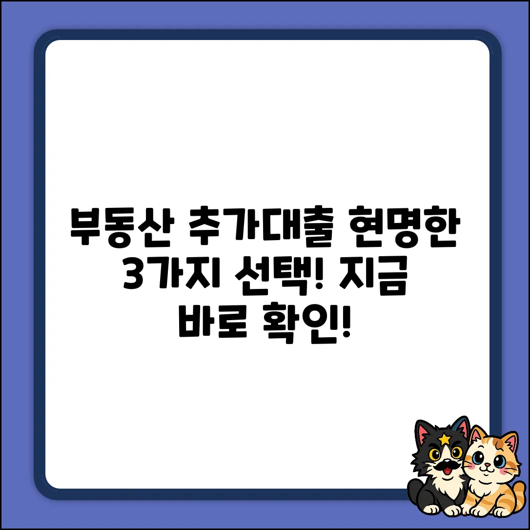부동산추가대출, 3가지 현명한 선택!