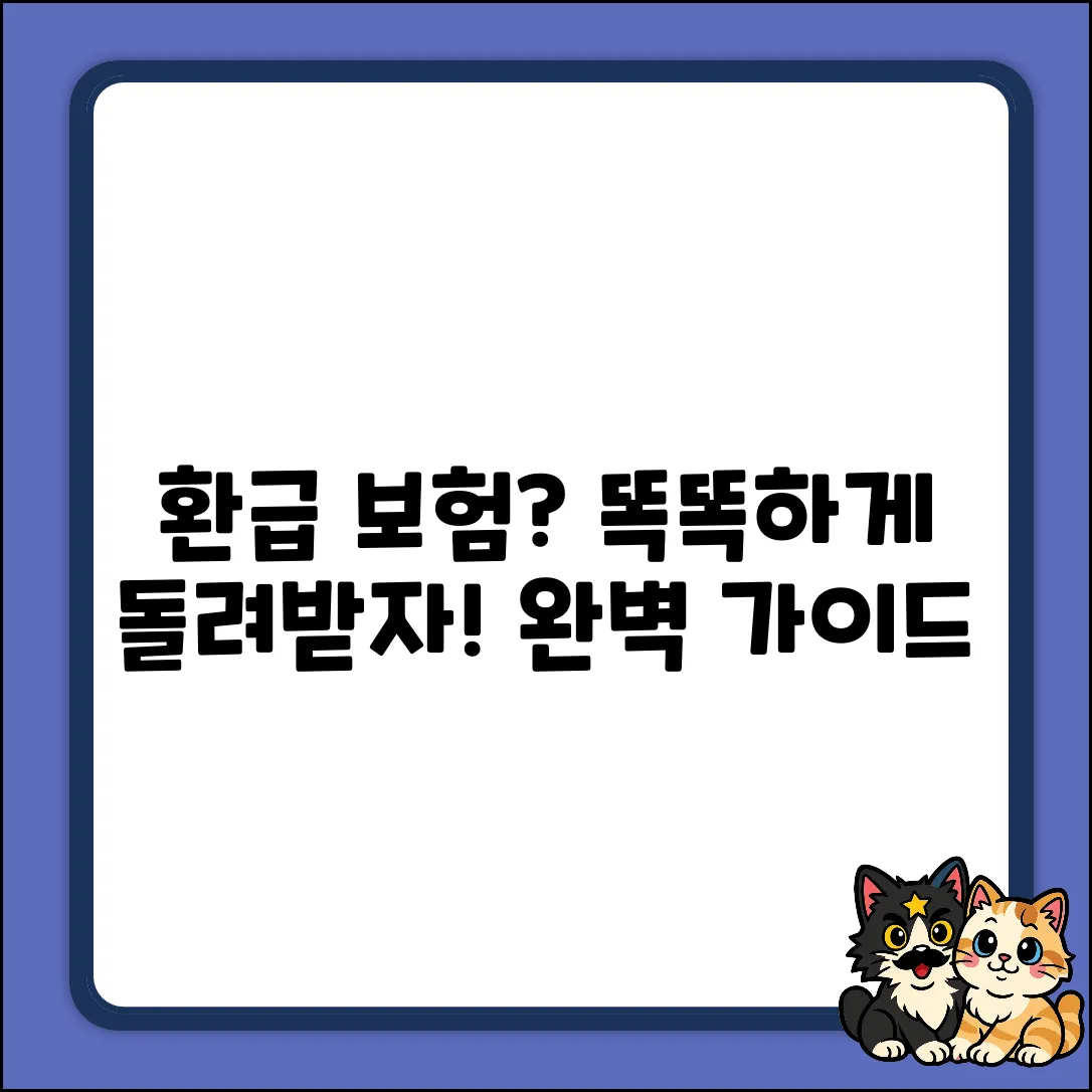 환급형 건강보험 완벽 가이드: 똑똑하게 돌려받자!