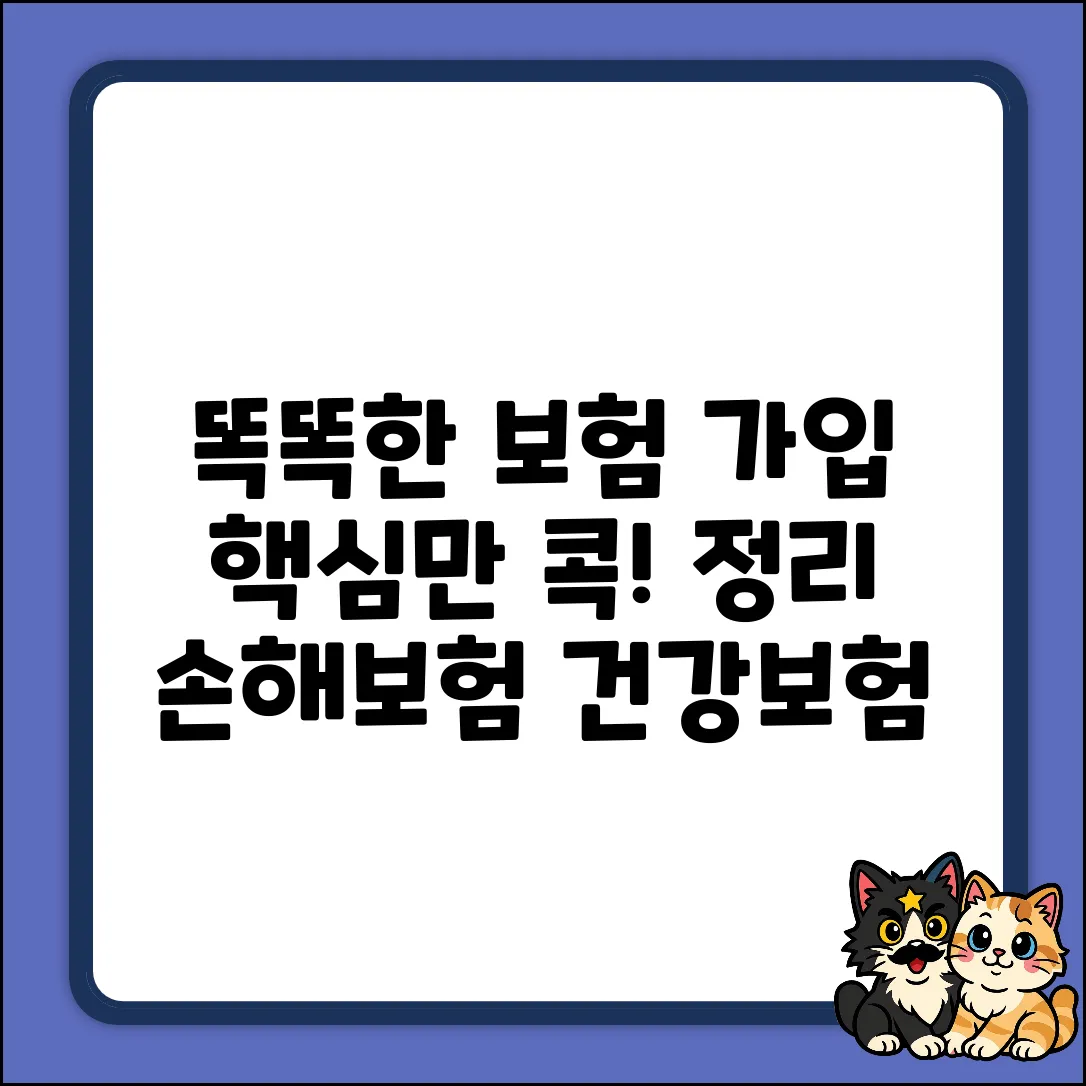 똑똑한 손해보험건강보험 가입, 핵심만 콕!