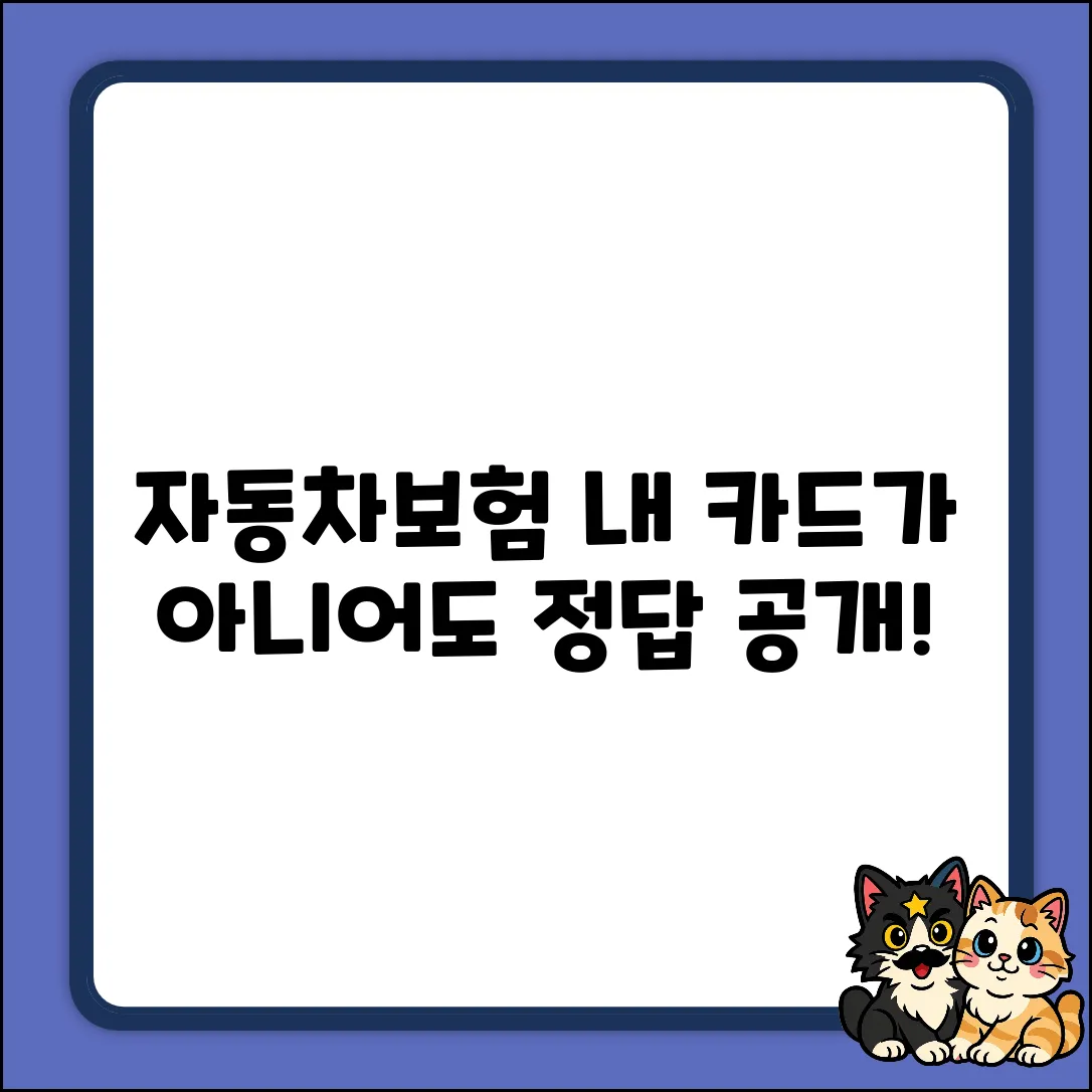 자동차보험, 타인 카드로 결제해도 될까요?