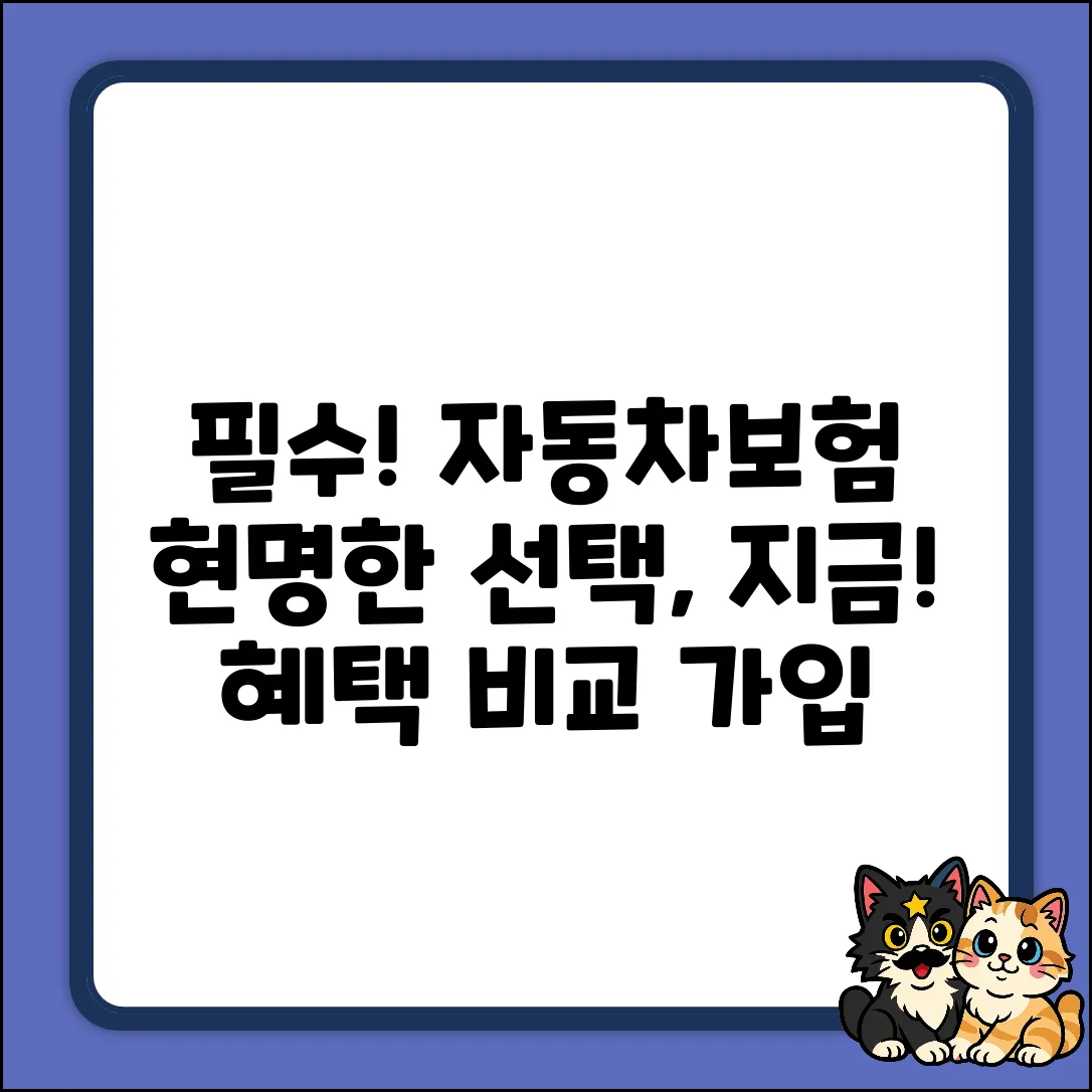 자동차보험 필수 가입! 현명한 당신의 선택