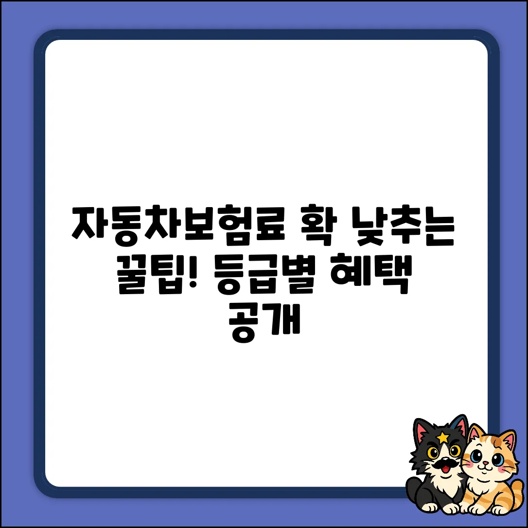 자동차보험 등급, 낮출수록 놀라운 혜택!